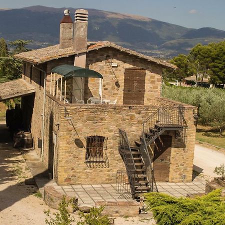 Country House Carmelita Limigiano Zewnętrze zdjęcie