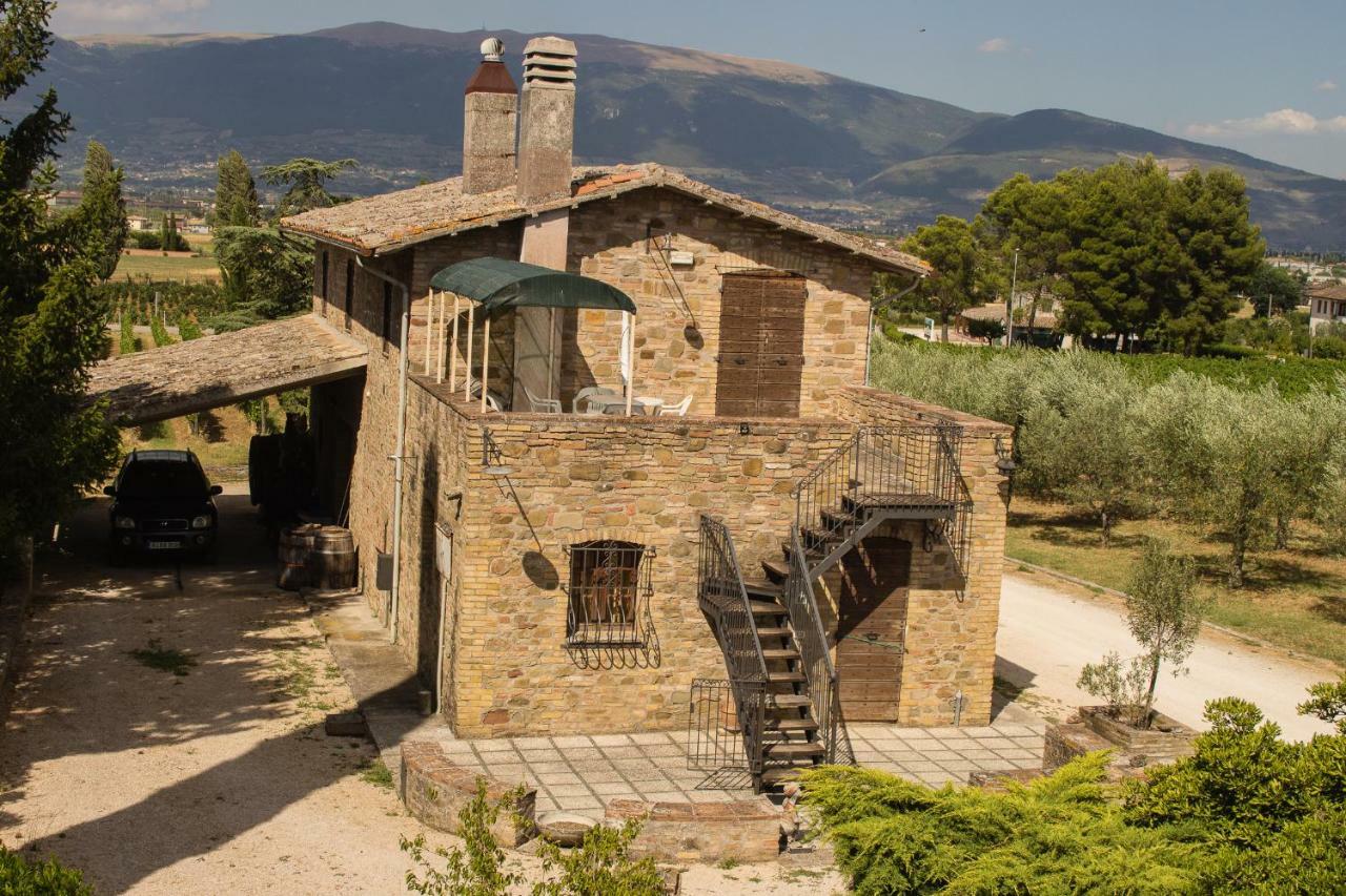 Country House Carmelita Limigiano Zewnętrze zdjęcie